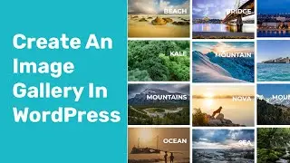 How to Add an Image Gallery in WordPress Using Modula and Elementor Plugin