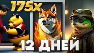 175 Иксов за 12 дней | POOH Проглотит Shiba inu и Pepe