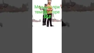 МОИ СНЫ ПРИ ТЕМПЕРАТУРЕ 38,8 