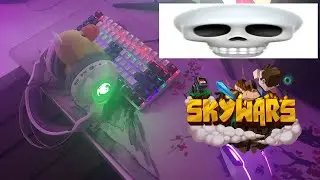 Pupsik plays skywars for the first time