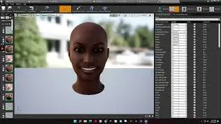 Face morphs shapes from Daz to Unreal