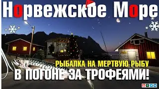 В погоне за ТРОФЕЯМИ • Рыбалка на мертвую рыбу • Русская Рыбалка 4 • Норвежское Море