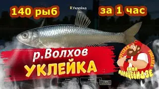 Уклейка • Волхов • Живец • Прокачка до Бутерброда