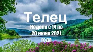 Телец. Таро-прогноз на неделю с 14 по 20 июня 2021 года.