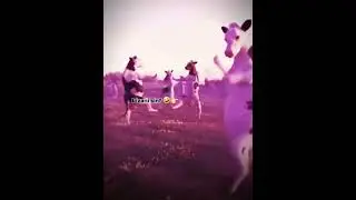 🤣🤣 