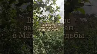 Какие занятия подходят Вам?💫 Часть 3. 