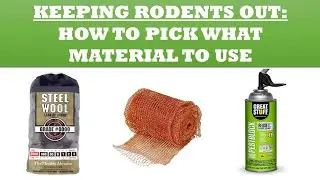Keep Rodents Out!  Pros and Cons of Steel Wool vs. Copper Mesh vs. Great Stuff Pest Block
