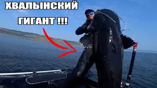 Самая Большая Рыба Сезона 