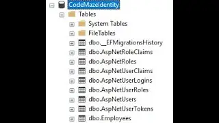 Create ASP.NET Core Identity SQL Database Asp Dot Net Core Web API - Asp .Net core Web API - Part 2