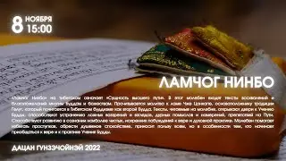 Ламчог Нинбо 08.11.2022г.