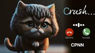 Notification Ringtone | Funny Ringtone LuLu | Message Ringtone | SMS Ringtone 🎶