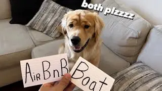 MY DOG CHOOSES HIS DAY!!!