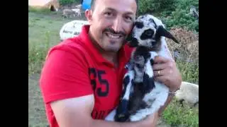 Erkan Ağa - Ana Öyle Zorki Sensiz Günlerim