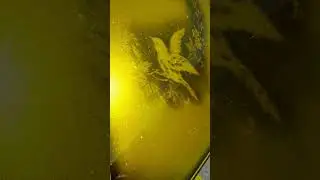Золотой капот от некст