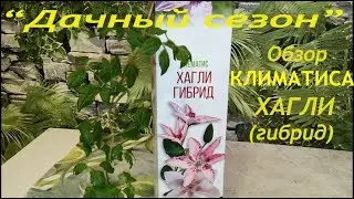 Обзор Климатиса Хагли (гибрид)