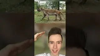 Как современные животные выглядели в прошлом 