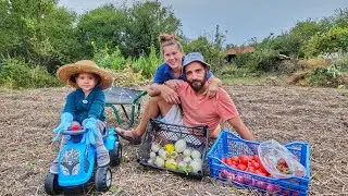 Почистване на градината и РАВНОСМЕТКА за сезон 2023 ☼ Имение ХАЛО ☼