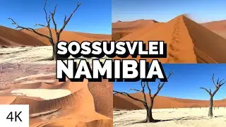 Exploring the Mysterious Beauty of Sossusvlei, Namibia: A Journey of Discovery
