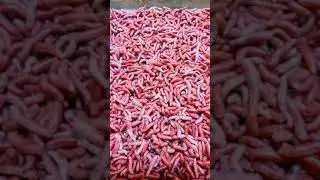 Рыболовный рай! Огромный выбор товаров для рыбалки - Кондратьевский рынок (Кондрашка). 