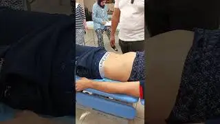 Области низа живота в правке живота
