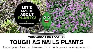 Episode 163: Tough As Nails Plants