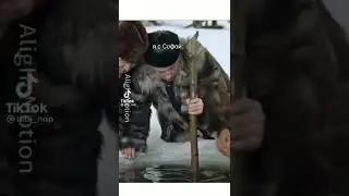 Видео из тик тока треш