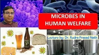 Microbes in Human Welfare : Introduction