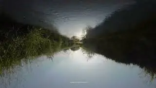 flow and flight