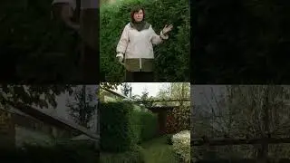 МАЛЫЙ САД. СОЗДАНИЕ И ДИЗАЙН. 
