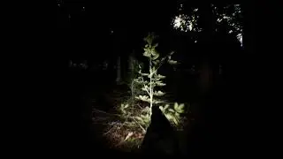 bodycamFPSkitHORRORTEST