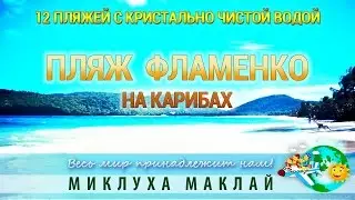 Пляжный отдых Фламенко beach