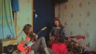 рок звёзды дают концерт для домашних пауцков