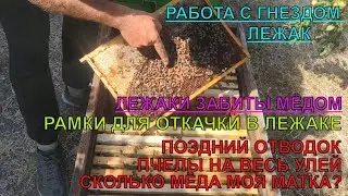 ЛЕЖАКИ ЗАБИТЫ МЁДОМ рамки ломаются от веса КАКИЕ РАМКИ ДЛЯ ОТКАЧКИ В ЛЕЖАКЕ мой ОТВОДОК В ДЕЛЕ ✅☝️🐝