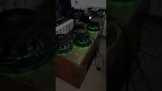 4 10” малыша 