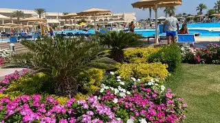 ROYAL ALBATROS MODERNA 5* Шарм Эль Шейх  Обзор отеля 2021