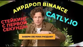 Catly io обзор