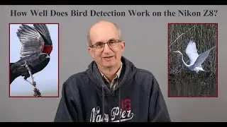 How Well Does Bird Detection Work on the Nikon Z8?