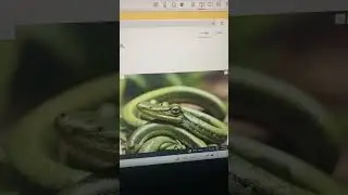 Generate AI Images | text to image generation 
