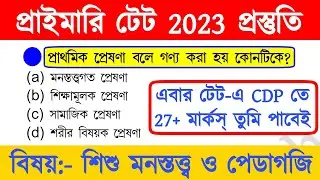 primary tet preparation 2023 | wb primary tet preparation 2023 | primary tet cdp class