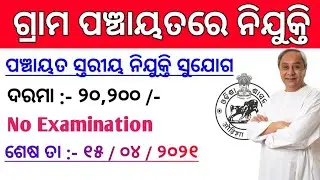 Odisha Village Level Jobs Vacancy 2021 ! Odisha Govt Jobs ! Odisha Job Updates 2021 ! Odisha Job