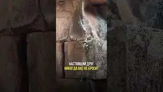 Pov : animals 🥷🏼💀 