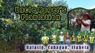 Uncle Roger's Plantation- Balasig Cabagan, Isabela