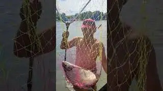 Ловись рыбка большая и маленькая #рекаока #лещ #рыбалка #fishing