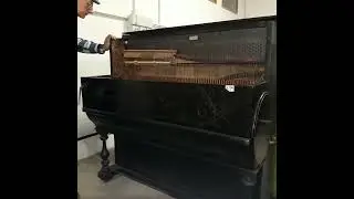 Barrel Piano “GORLI” - 73 keys - Marini Collection - Serenata Celeste - Barrel De Vecchi