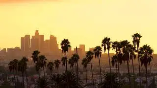 downtown los angeles cityscape at sunset with palm trees in the foreground SBV 319760759 4K