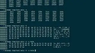 hexdump: file viewer in ASCII, decimal, octal, or hexadecimal