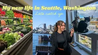 Adjusting to life in Seattle after living in Japan ~ catching up, getting laid off, kura sushi🍣