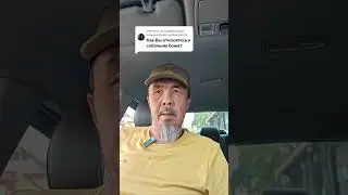 Собачьи бои.