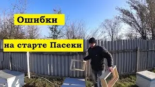 5 ошибок начинающих пчеловодов при организации пасеки