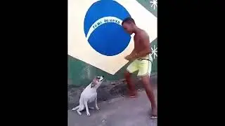 Hewan 🐕yang nurut sama pemiliknya 🤣🤣